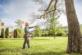 Best Soil Testing and Treatment  in Winchester, KY